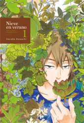 Portada-Nieve-en-verano